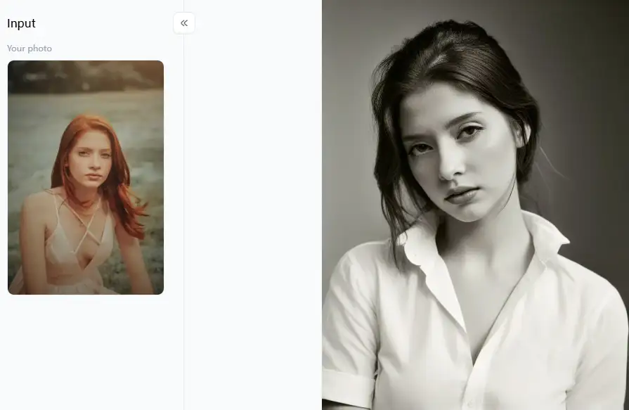 filter from a1.art which is called black and white portrait p2 filter from a1.art which is called black and white portrait p2