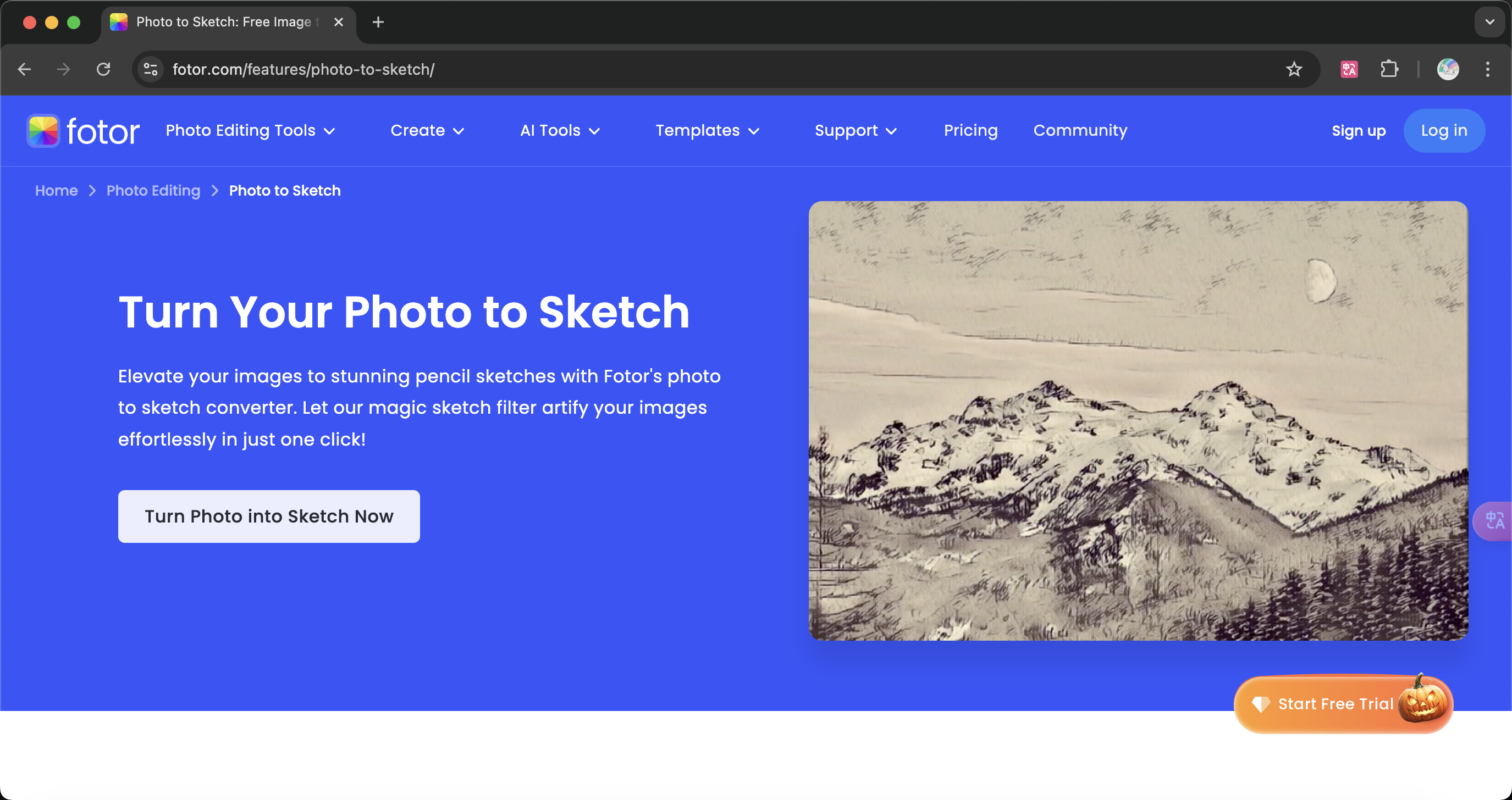 Fotor's sketch generation tool interface