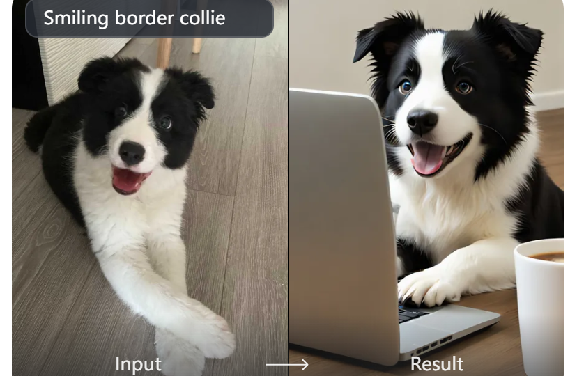 Solution for pet photo generation